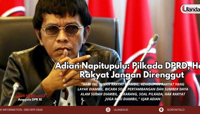 Adian Napitupulu: Pilkada DPRD, Hak Rakyat Jangan Direnggut