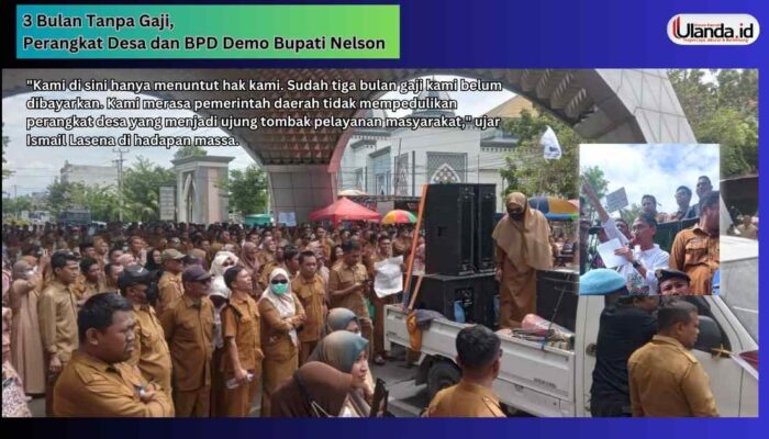 3 Bulan Tanpa Gaji, Perangkat Desa dan BPD Demo Bupati Nelson