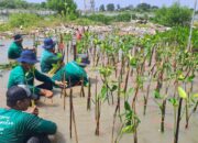 LindungiHutan: Platform Kolaborasi untuk Perusahaan Melakukan Penghijauan dan Mitigasi Perubahan Iklim