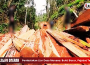 Pembalakan Liar Desa Monano: Bukti Bocor, Pejabat Terlibat??