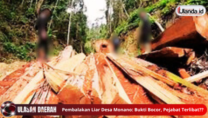 Pembalakan Liar Desa Monano: Bukti Bocor, Pejabat Terlibat??