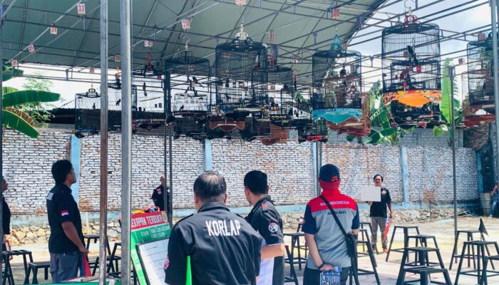 BNR Cup 3 Sukses, Atlit Sulawesi Ramaikan 23 Kelas Lomba
