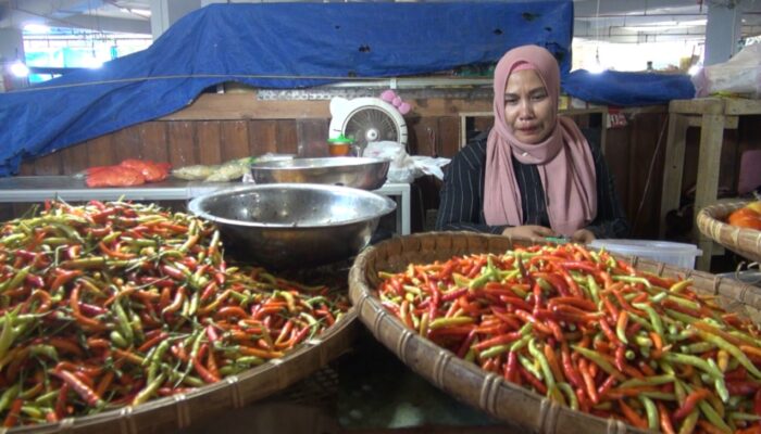 Harga Cabai Di Kota Gorontalo Capai 130 Ribu Per Kg!