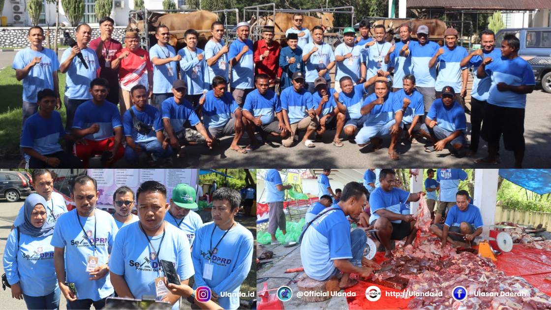 sekretariat dprd provinsi gorontalo saat melakukan penyembelian 12 ekor sapi di lingkungan dprd provinsi gorongtalo. Minggu, 8 Juni 2025