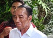 Jokowi alamai penyakit kulit (fhoto:dok)