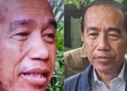 Joko Widodo, Presiden ke-7 Indonesia mengalami alergi kulit sepulang dari Vatikan. (Foto: tangkapan layar)