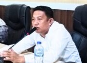 Ketua Fraksi Nasdem Dprd Boalemo Arman Naway.(Foto. Ist)