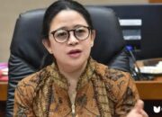 Ketua DPR RI Puan Maharani (Fhoto/Ulanda.id)