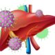 Putuskan Penularan, Wujudkan Indonesia Bebas Hepatitis 2030