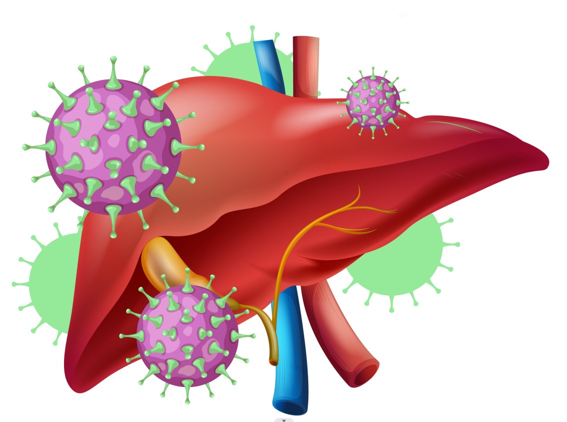 Putuskan Penularan, Wujudkan Indonesia Bebas Hepatitis 2030