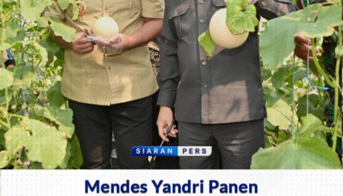 Menteri Desa Panen Melon dan Telur Ayam dari Program Dana Desa di Sragen