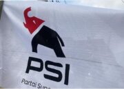 Logo Baru PSI Bergambar Gajah Dinilai Sarat Makna, Pakar: Simbol Tunggangan Raja