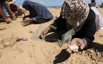Para perempuan Palestina memungut kacang-kacangan atau beras di Nuseirat, Jalur Gaza tengah, usai misi penerjunan bantuan lewat udara di atas wilayah Palestina yang dikepung Israel pada 5 Agustus 2025. (Eyad BABA/AFP)