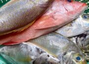 Tips memilih ikan segar. (Foto: RRI Ranai/ Evi Suharti)/Ulanda.id