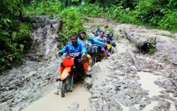 Kondisi jalan menuju Kecamatan Pinogu, Kabupaten Bone Bolango, kembali mendapat sorotan. Kali ini dukungan datang dari Guru Besar Universitas Negeri Gorontalo (UNG) Sarson W. Dj. Pomalato/Ulanda.id