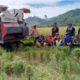 Peringatan Hari Tani Nasional 2025 di Kabupaten Gorontalo Utara (GORUT) belum sepenuhnya membawa kebahagiaan bagi petani, khususnya di Kecamatan Tolinggula, Biawi, dan Sumalata/Ulanda.id