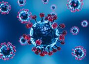 Dokter di RSUD Pandega Pangandaran mengingatkan masyarakat untuk meningkatkan kewaspadaan terhadap ancaman virus Hanta, penyakit zoonosis yang menular melalui hewan pengerat, terutama tikus/Ulanda.id