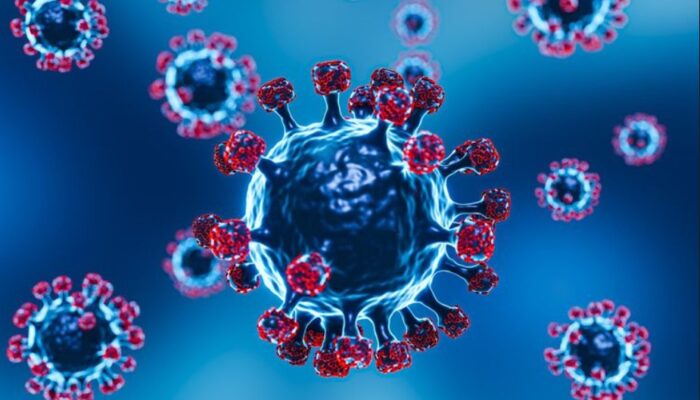Kasus Virus Hanta Muncul di Jawa Barat, Dokter Ingatkan Warga Tingkatkan Kewaspadaan
