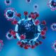 Dokter di RSUD Pandega Pangandaran mengingatkan masyarakat untuk meningkatkan kewaspadaan terhadap ancaman virus Hanta, penyakit zoonosis yang menular melalui hewan pengerat, terutama tikus/Ulanda.id