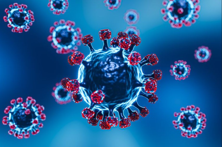 Dokter di RSUD Pandega Pangandaran mengingatkan masyarakat untuk meningkatkan kewaspadaan terhadap ancaman virus Hanta, penyakit zoonosis yang menular melalui hewan pengerat, terutama tikus/Ulanda.id