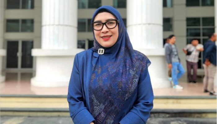Komisi IV Pastikan RS Bioklinik Kembali Beroperasi, Larang Pungutan Non-BPJS
