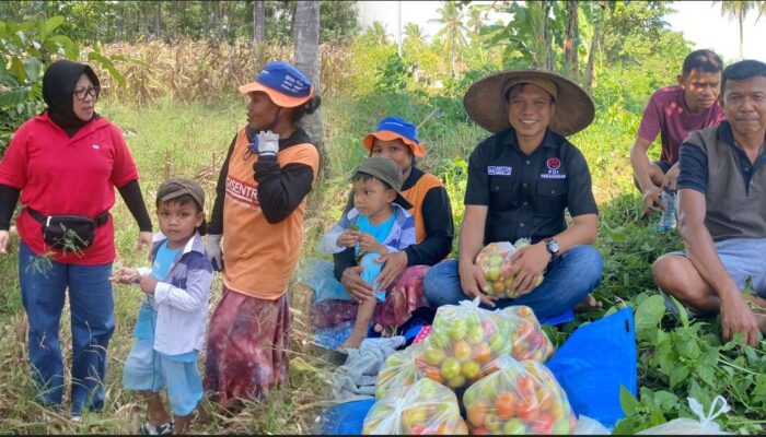 Hari Tani Nasional 2025, PDIP Gorontalo Dengar Aspirasi Petani Jagung dan Tomat