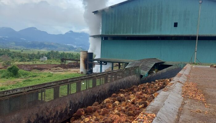 Garda Satu Dorong Penyelesaian Masalah Bagi Hasil Sawit PT Agro Artha Surya di Boalemo