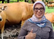 Anggota DPRD Provinsi Gorontalo, Femmy Kristina Udoki/Ulanda.id