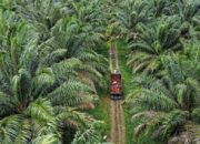 Ormas Garda Satu Gorontalo mengapresiasi langkah Pansus Kelapa Sawit DPRD Provinsi Gorontalo yang menyita 21 ribu hektare lahan tidak produktif milik PT Agro Artha Surya di Boalemo/Ulanda.id