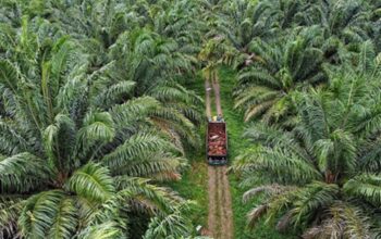 Ormas Garda Satu Gorontalo mengapresiasi langkah Pansus Kelapa Sawit DPRD Provinsi Gorontalo yang menyita 21 ribu hektare lahan tidak produktif milik PT Agro Artha Surya di Boalemo/Ulanda.id