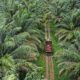 Ormas Garda Satu Gorontalo mengapresiasi langkah Pansus Kelapa Sawit DPRD Provinsi Gorontalo yang menyita 21 ribu hektare lahan tidak produktif milik PT Agro Artha Surya di Boalemo/Ulanda.id